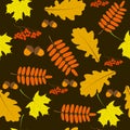 Background of autumn maple leaves